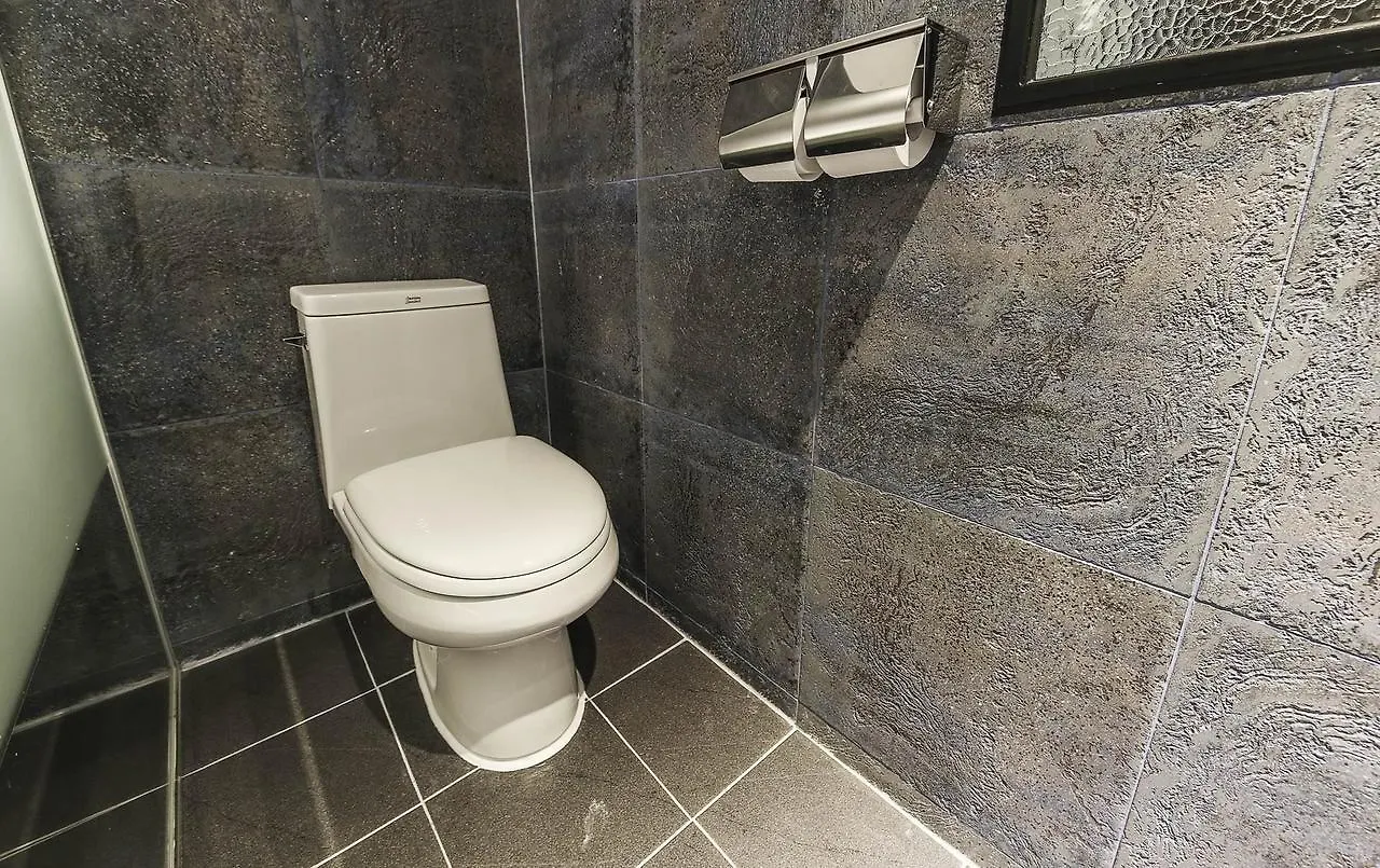 Western River Gangseo Hotel Seoul 3*,  South Korea